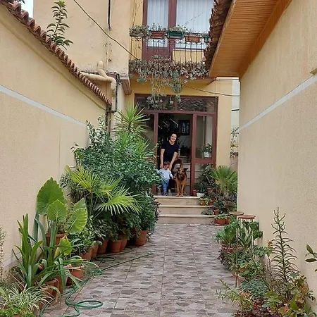 Kodra *