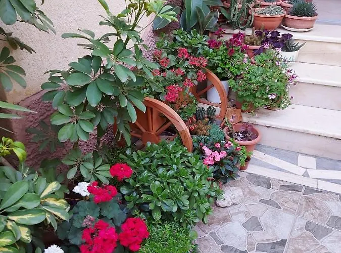 Kodra Tirana