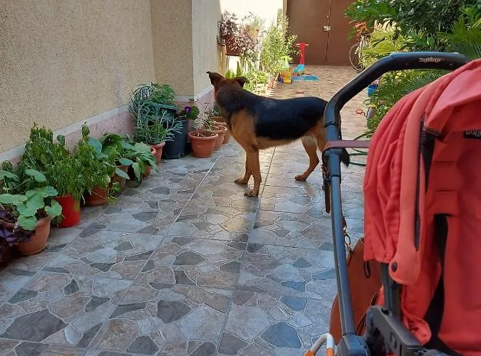Kodra Frühstückspension