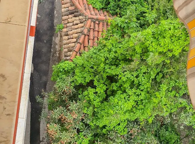 Kodra Bed and breakfast *